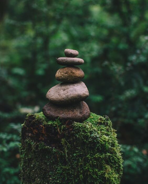 30hrs Meditación, Mindfulness & Pranayama